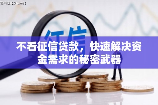 东石不看征信贷款，快速解决资金需求的秘密武器