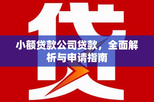 东石小额贷款公司贷款，全面解析与申请指南