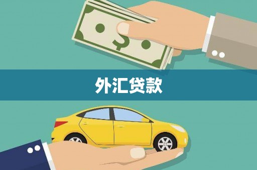 东石外汇贷款