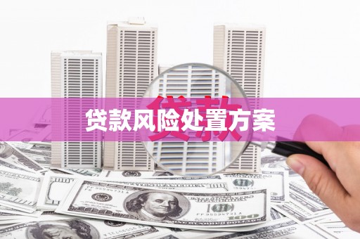 东石贷款风险处置方案