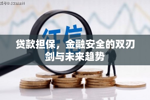 东石贷款担保，金融安全的双刃剑与未来趋势