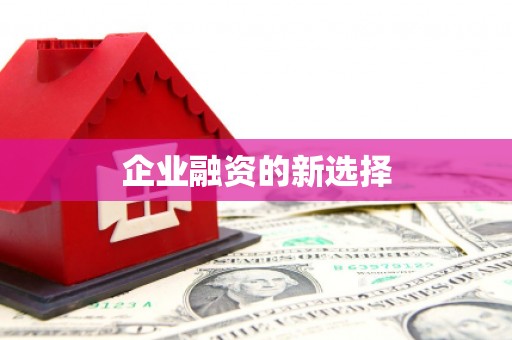 东石企业融资的新选择
