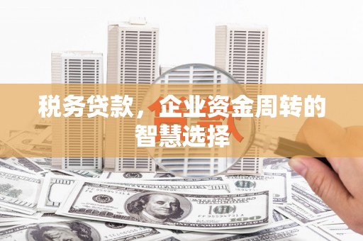 东石税务贷款，企业资金周转的智慧选择