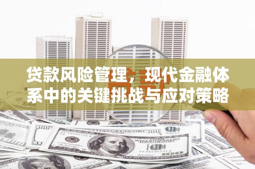 东石贷款风险管理，现代金融体系中的关键挑战与应对策略