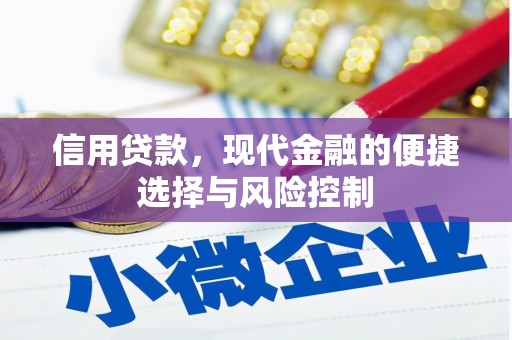 东石信用贷款，现代金融的便捷选择与风险控制