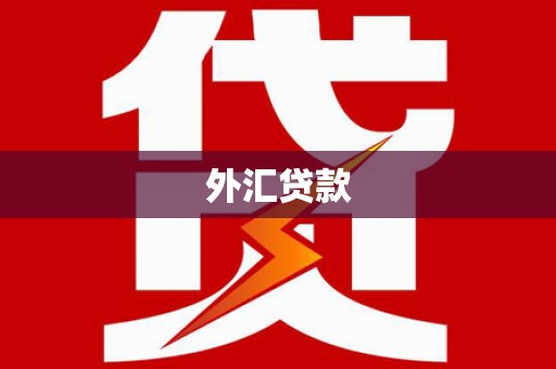 东石外汇贷款