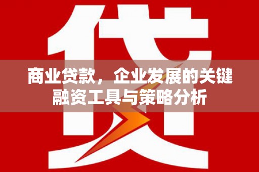 东石商业贷款，企业发展的关键融资工具与策略分析