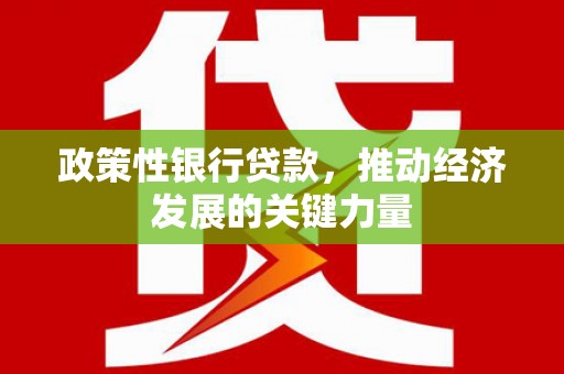 东石政策性银行贷款，推动经济发展的关键力量