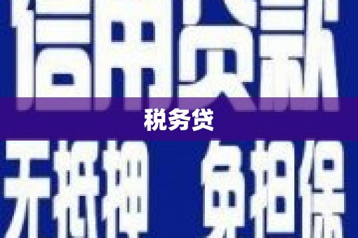 东石税务贷