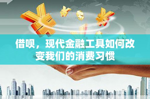 东石借呗，现代金融工具如何改变我们的消费习惯