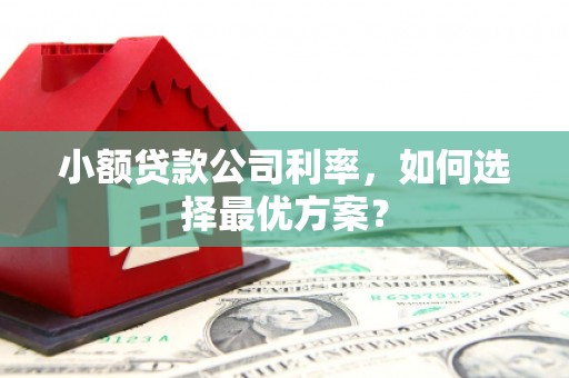 东石小额贷款公司利率，如何选择最优方案？