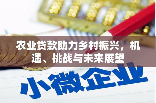 东石农业贷款助力乡村振兴，机遇、挑战与未来展望