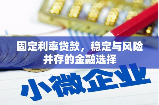 东石固定利率贷款，稳定与风险并存的金融选择