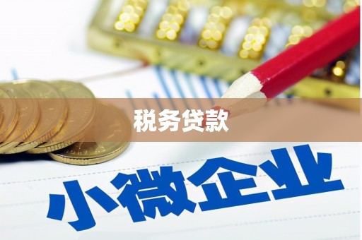东石税务贷款