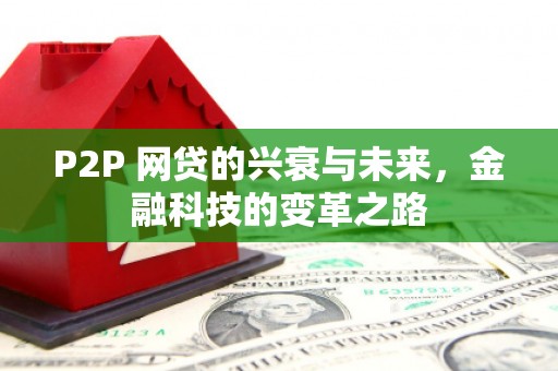 东石P2P 网贷的兴衰与未来，金融科技的变革之路
