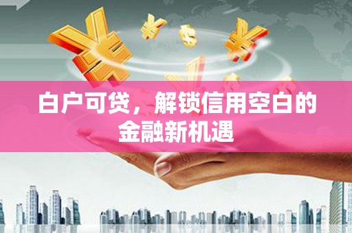 东石白户可贷，解锁信用空白的金融新机遇