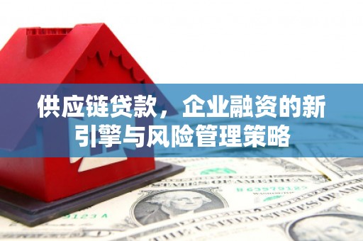 东石供应链贷款，企业融资的新引擎与风险管理策略
