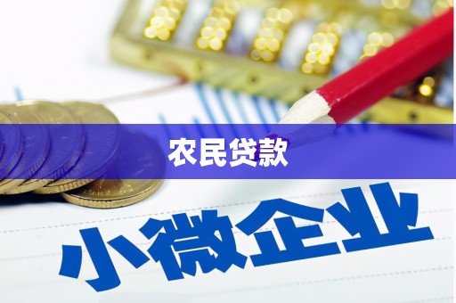 东石农民贷款