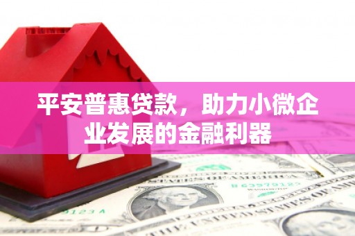 东石平安普惠贷款，助力小微企业发展的金融利器