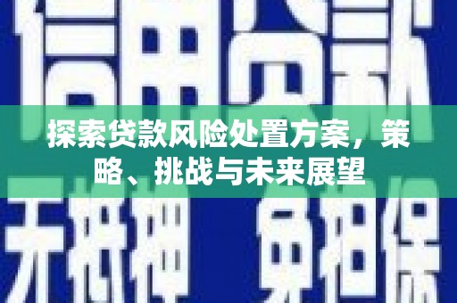 东石探索贷款风险处置方案，策略、挑战与未来展望