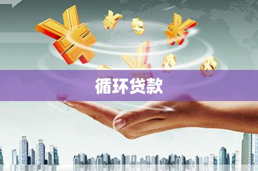 东石循环贷款