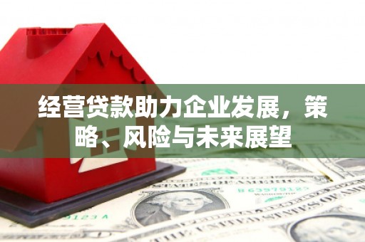东石经营贷款助力企业发展，策略、风险与未来展望