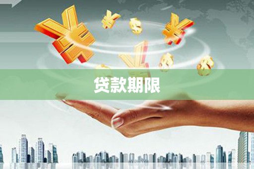 东石贷款期限