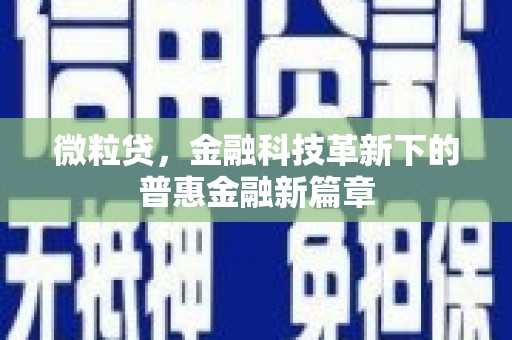 东石微粒贷，金融科技革新下的普惠金融新篇章