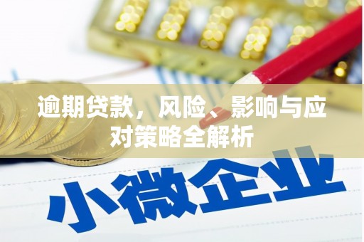 东石逾期贷款，风险、影响与应对策略全解析