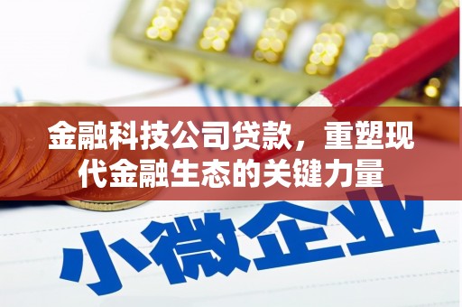 东石金融科技公司贷款，重塑现代金融生态的关键力量