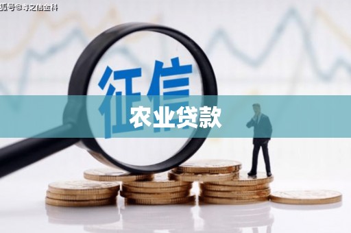 东石农业贷款