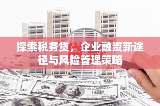 东石探索税务贷，企业融资新途径与风险管理策略