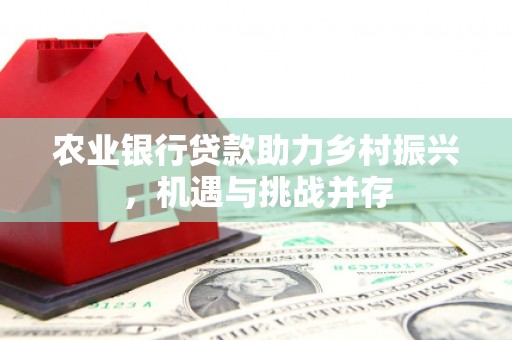 东石农业银行贷款助力乡村振兴，机遇与挑战并存