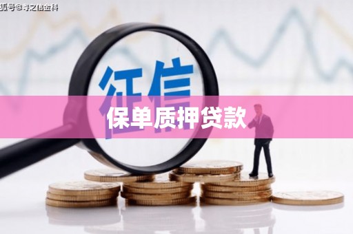 东石保单质押贷款