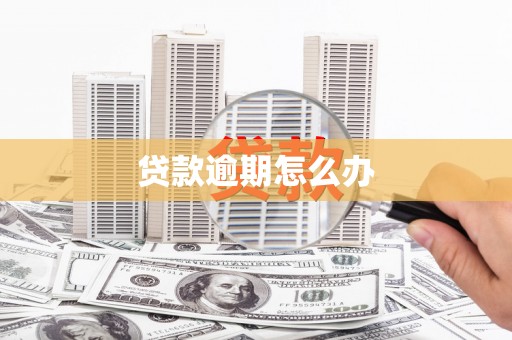 东石贷款逾期怎么办