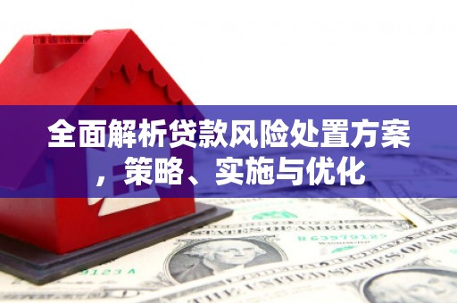 东石全面解析贷款风险处置方案，策略、实施与优化