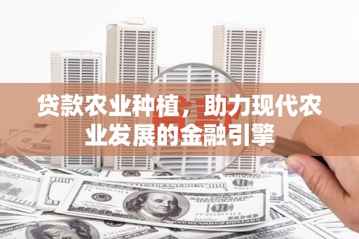 东石贷款农业种植，助力现代农业发展的金融引擎