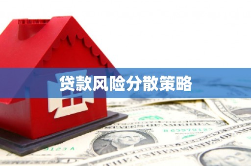 东石贷款风险分散策略