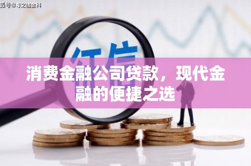 东石消费金融公司贷款，现代金融的便捷之选