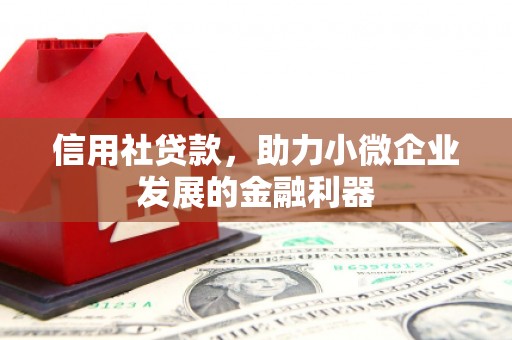 东石信用社贷款，助力小微企业发展的金融利器