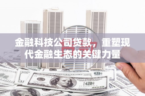 东石金融科技公司贷款，重塑现代金融生态的关键力量