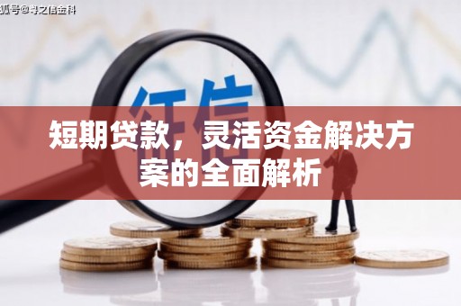 东石短期贷款，灵活资金解决方案的全面解析