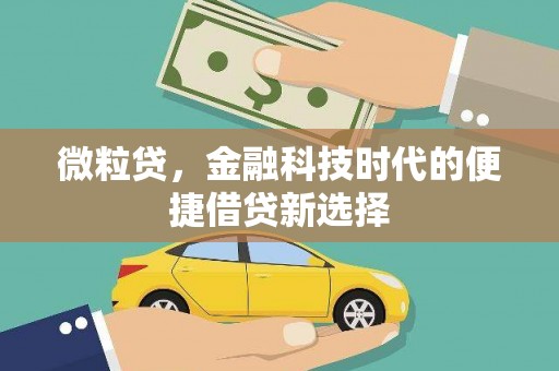 东石微粒贷，金融科技时代的便捷借贷新选择