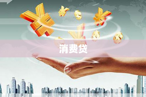 东石消费贷