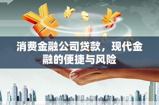 东石消费金融公司贷款，现代金融的便捷与风险